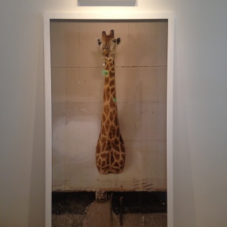 Fraenkel Gallery, San Francisco, giraffe